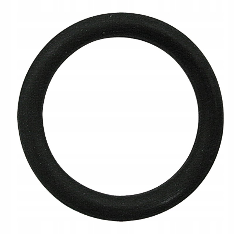 Oring 21 89x2 6 mm fiat 14457680