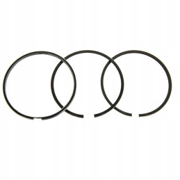 Deutz Fendt piston rings 100mm 2 95 2 55 5