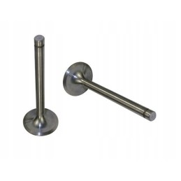 Suction valve 7340 zetor