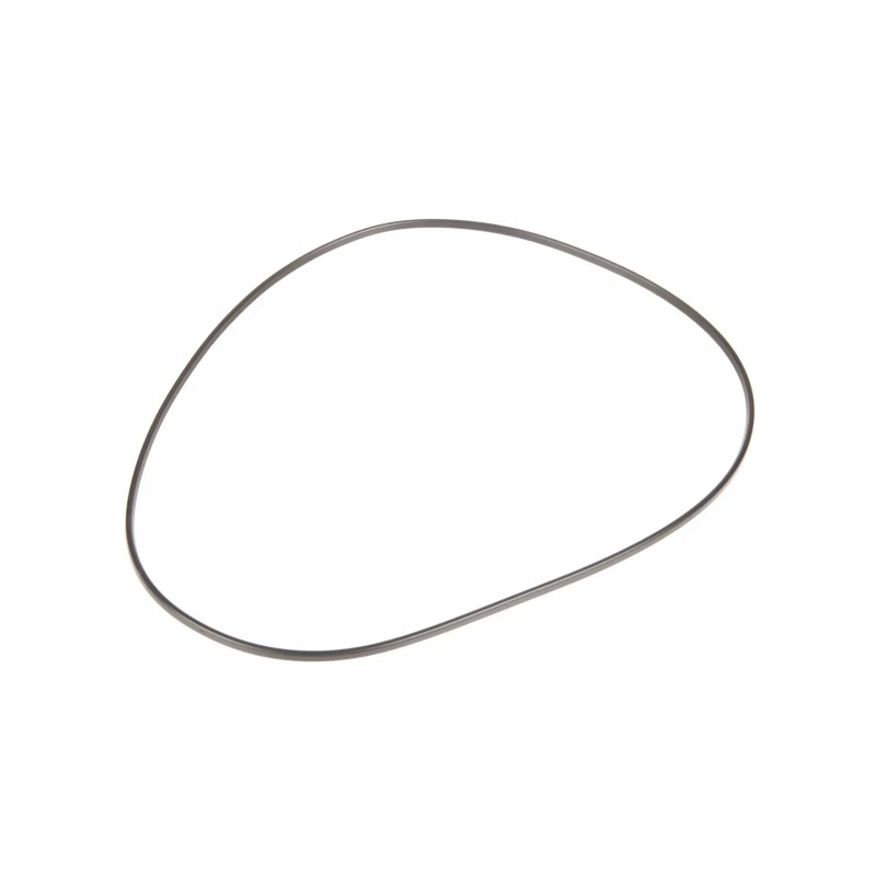 4306809m1 rear housing seal ring