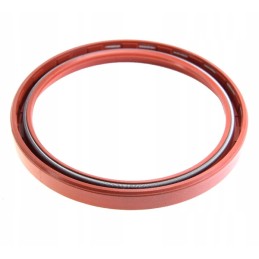 Sealant C385 110x130x13 8900290 Czech product