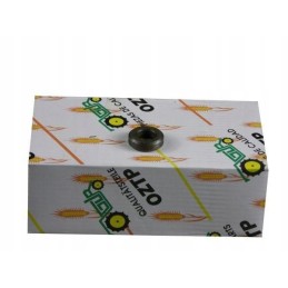 Deutz head bolt washer