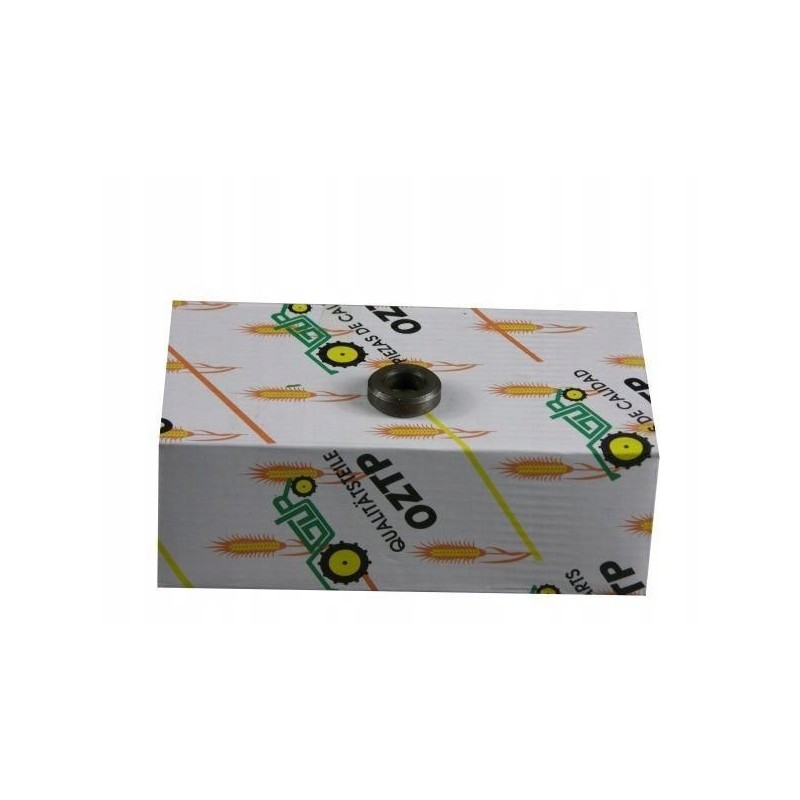 Deutz head bolt washer