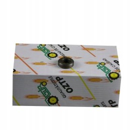 Deutz head bolt washer