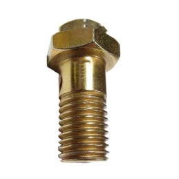 Pressure valve of the injection pump, thread M 12