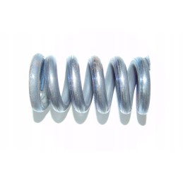 Brake spring c 385