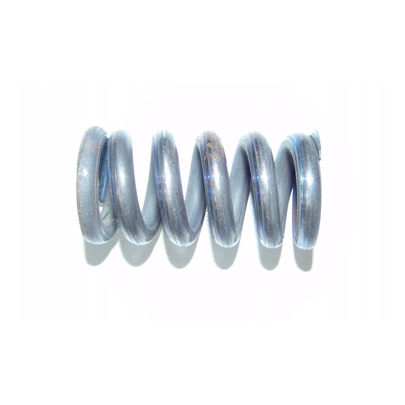 Brake spring c 385