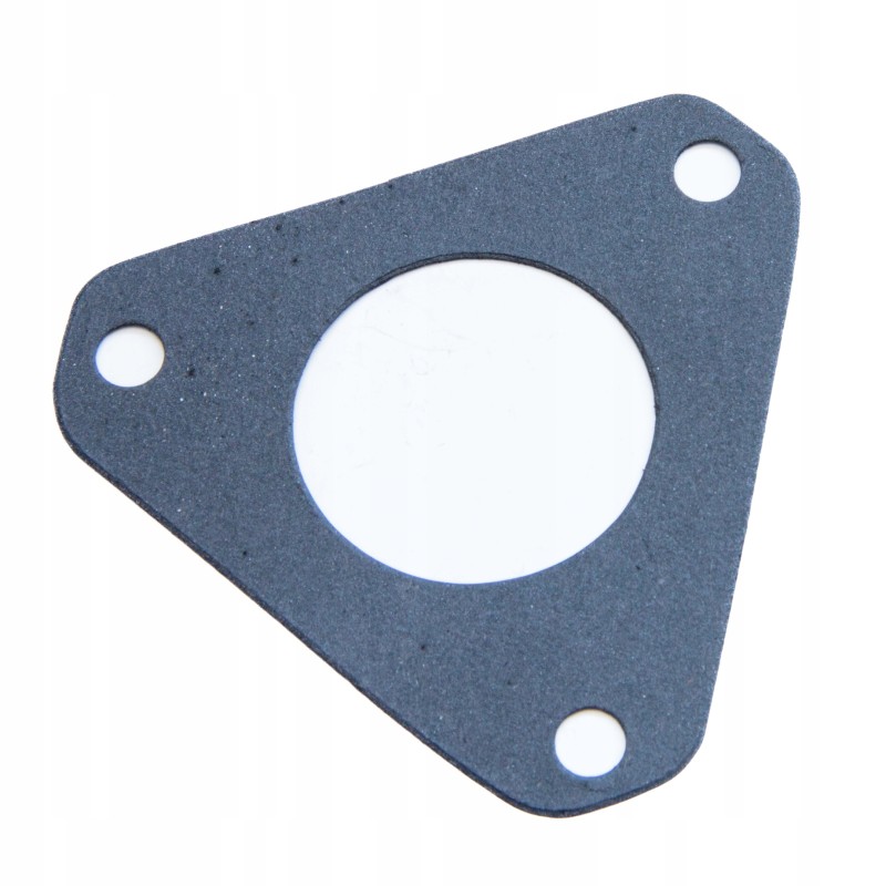 Injection pump gasket 0490685