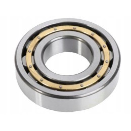 Rear axle ball bearing New Holland Fiat CNH 201