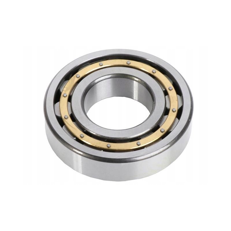 Rear axle ball bearing New Holland Fiat CNH 201