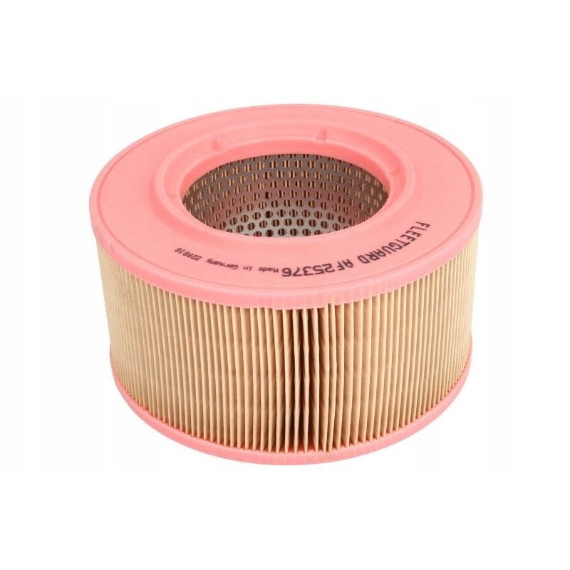 Af25376 fleetguard air filter