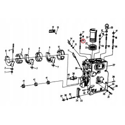 Double-sided head pin Ursus C 330 50000443