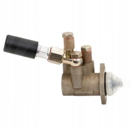 Fuel pump feeding C 385 and derivatives