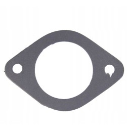 Air filter intake manifold gasket for C 330