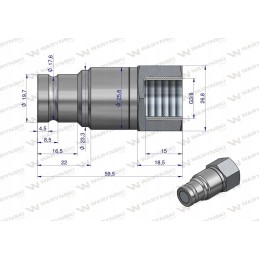 Quick connector plug g3 8 bsp internal thread