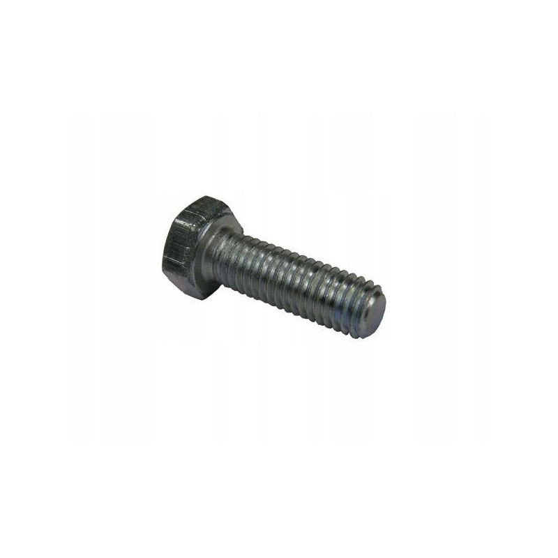 Water pump screw 8x25 c 330 54210615