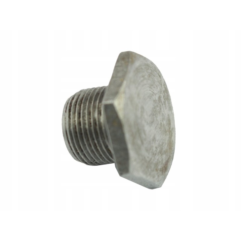 Valve rocker axle plug 80005037 860050