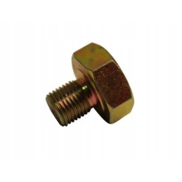 Fuel intake pipe screw T25 Wladimirec A2550146