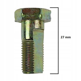 Overflow screw 10 22 1