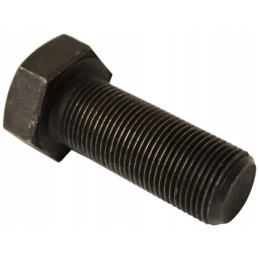 Crankshaft pulley bolt c 385 89003011