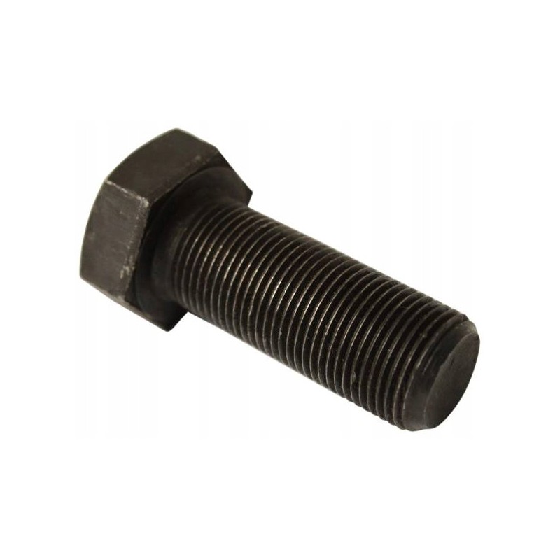 Crankshaft pulley bolt c 385 89003011