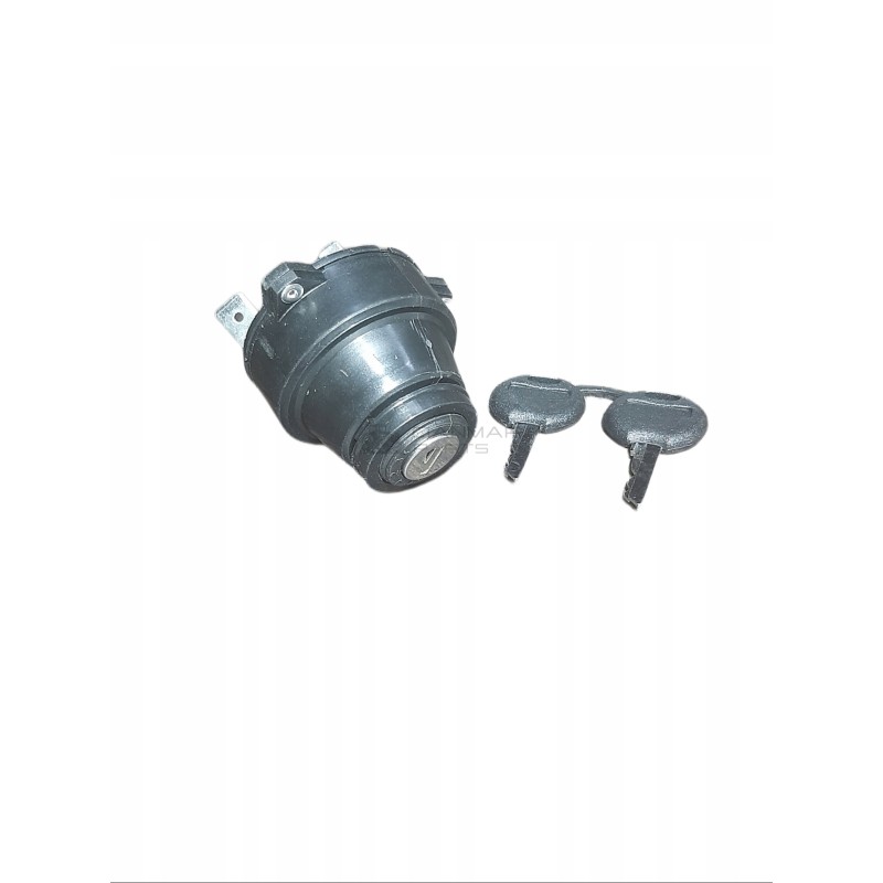 Ignition switch 3136852r1