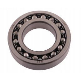 Self-aligning ball bearing 1209 rm 1209