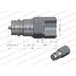 Hydraulic plug M22 g in Euro Warynski