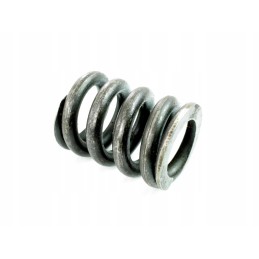 Spring for bosch lift monoblock 8204635022