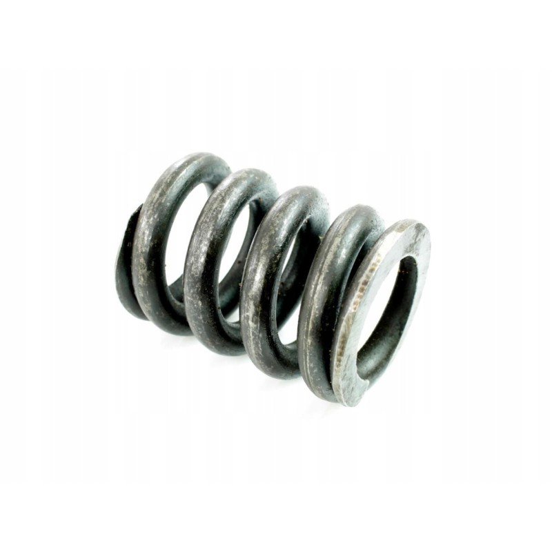 Spring for bosch lift monoblock 8204635022