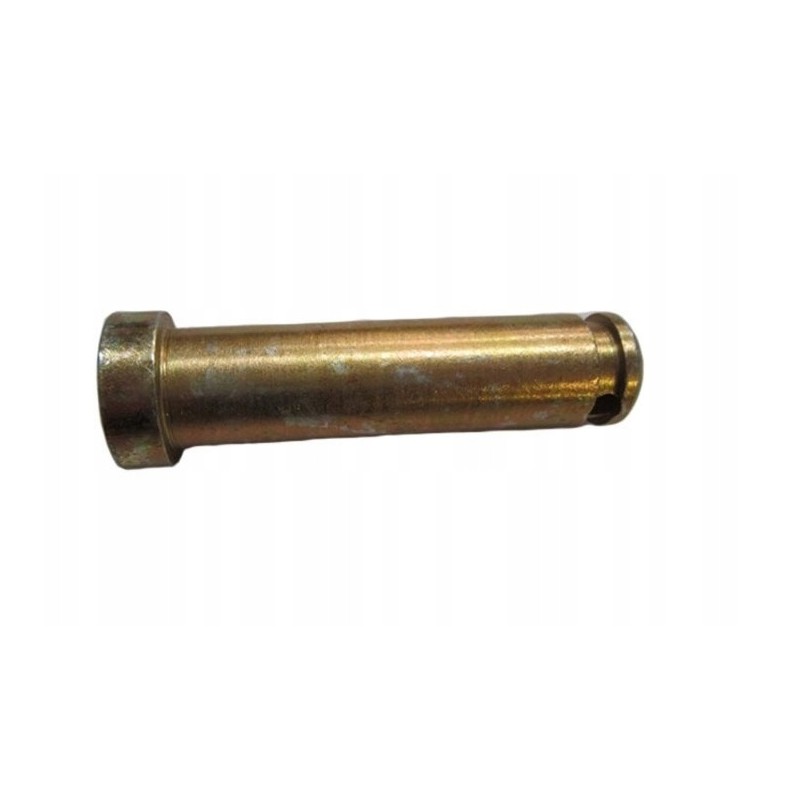 Lower hanger pin Wladimirec T 25 A2056371