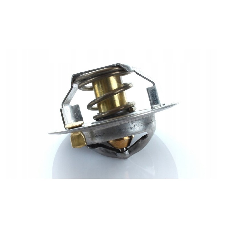 Thermostat case 162000060701 polmo