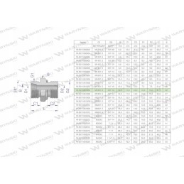 Hydraulic connection bb xge m18x1 5 12l x 3 8