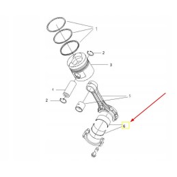 495b 04005 1a acetabulum