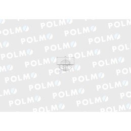 Thermostat 895311h1 landini case polmo
