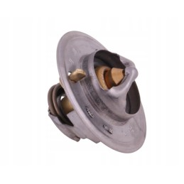 Thermostat 895311h1 landini case polmo