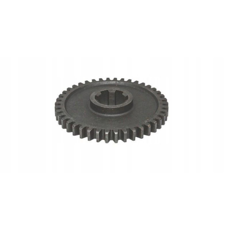Gear wheel 42 teeth wladimirec t 25 2537119