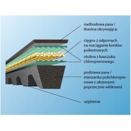 Timed V-belt optibelt with 10 xpz 637