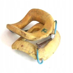 C 330 generator coil p20c