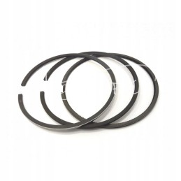 Set of engine rings fi 94 engine 1012 94 00 x 2