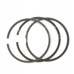 Set of engine rings fi 94 engine 1012 94 00 x 2