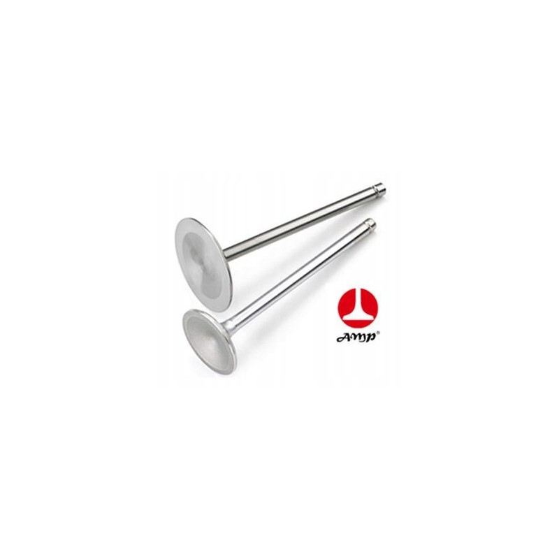 Exhaust valve case d179 paradowscy 3055056r1