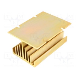 1 pcs x ANLY ELECTRONICS - HS-060-100TP - Heatsink: extruded, Y, for three phase solid state relays