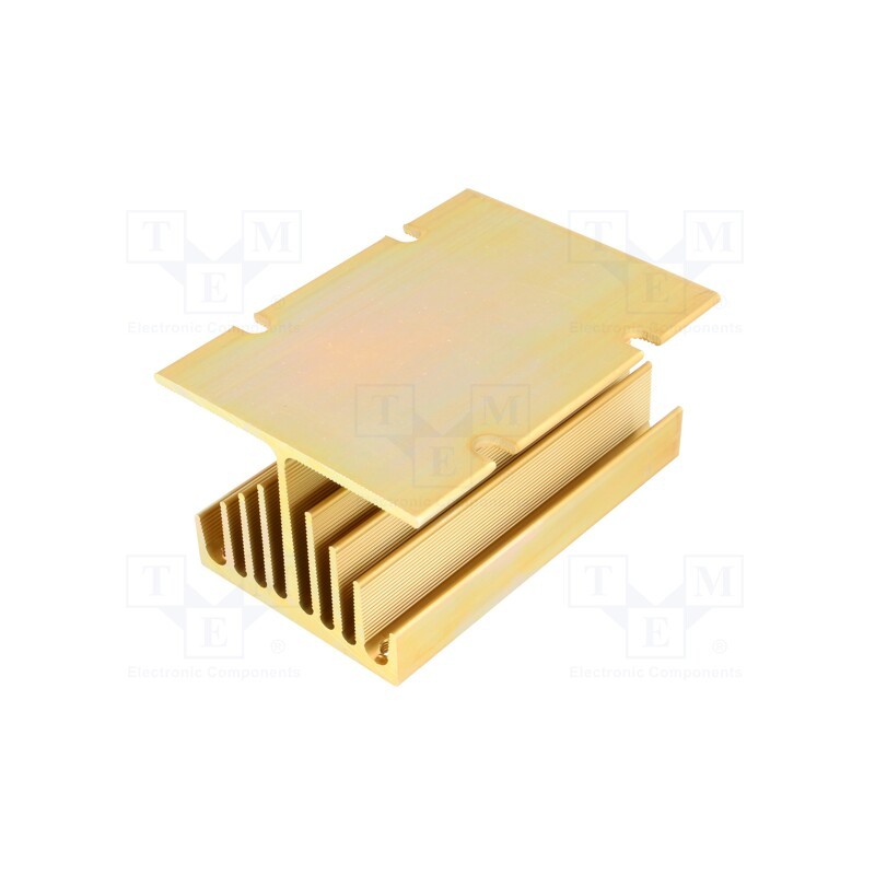 1 pcs x ANLY ELECTRONICS - HS-060-100TP - Heatsink: extruded, Y, for three phase solid state relays
