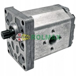 Single gear pump 301022a1