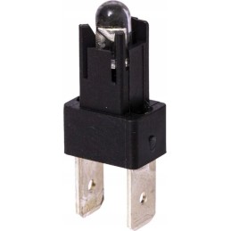 Bulb holder bulb with LED switch holder