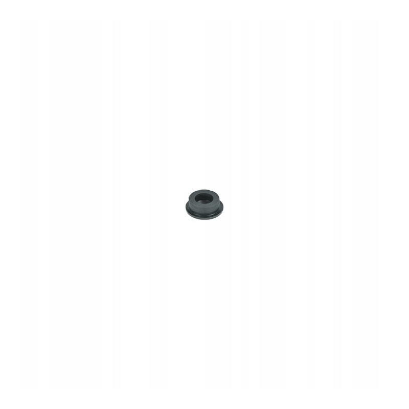 Old type manifold valve gasket without insert