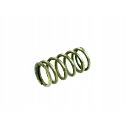 Overload clutch spring 5223890810