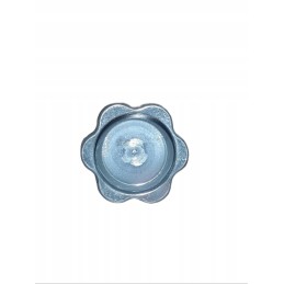 Oil filler cap 6005001542