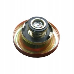 Radiator cap 1698042m91 mf3 1874445m93
